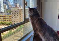 Redes de Proteção Parque Peruche São Paulo SP