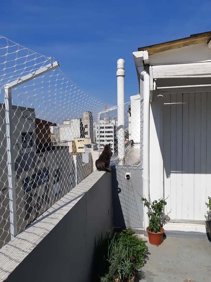Rede de Proteção para Gatos São Paulo SP Rede de Proteção para Gatos São Paulo SP